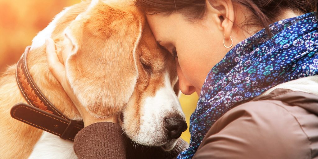 How dogs help our Mental Health? IFTW